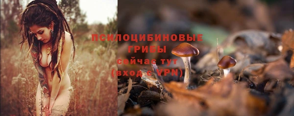 кокаин колумбия Заводоуковск